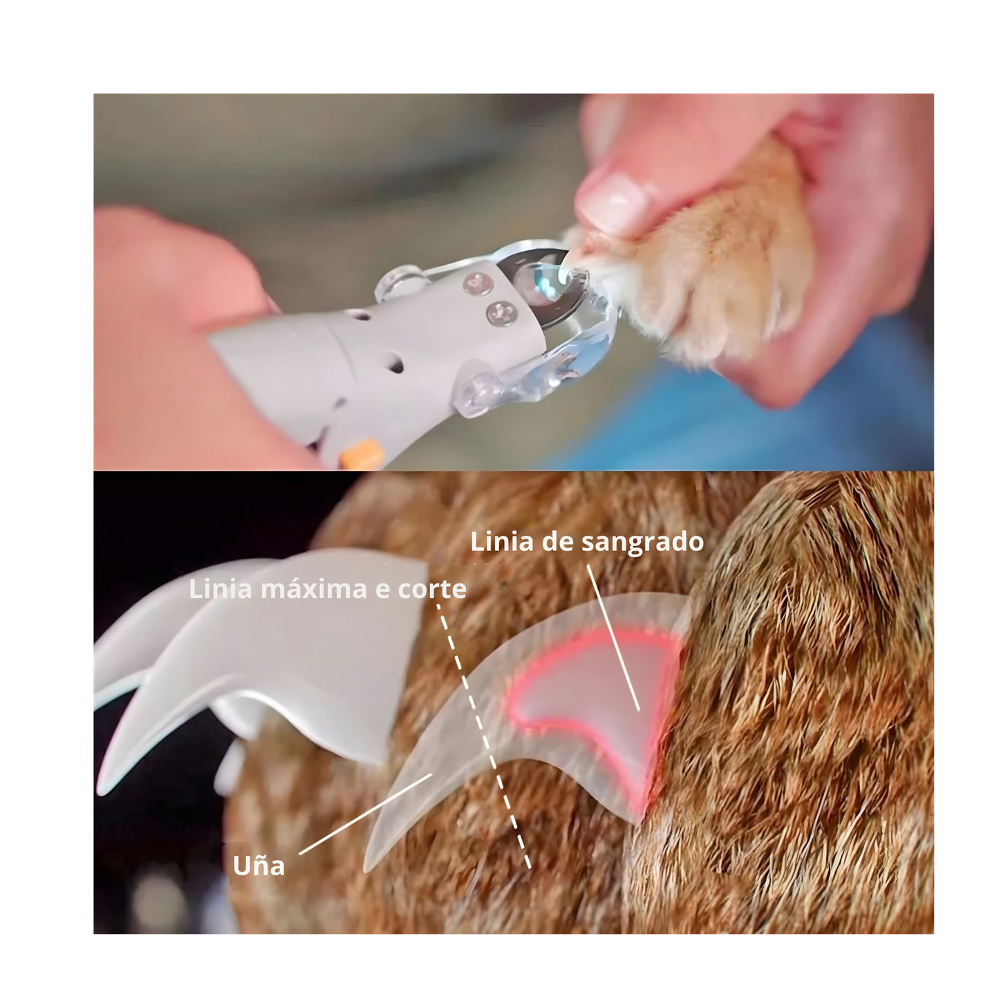 Cortauñas para mascotas con LUZ led